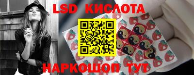 индика Лесосибирск