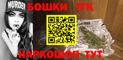 индика Лесосибирск