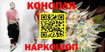 индика Лесосибирск