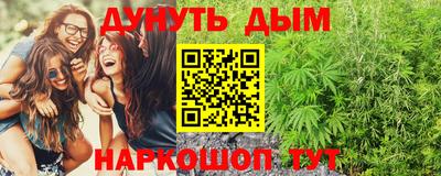 индика Лесосибирск