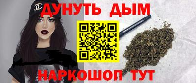 индика Лесосибирск