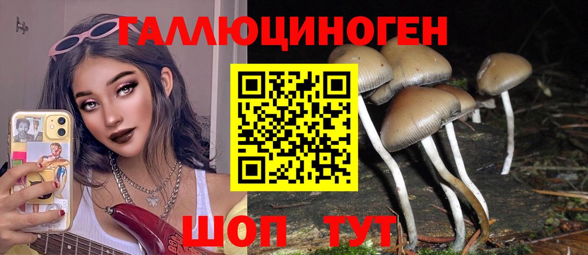 дарнет шоп  Вход с VPN  Галлюциногенные грибы Magic Shrooms  Губкинский  Галлюциногенные грибы прущие грибы 